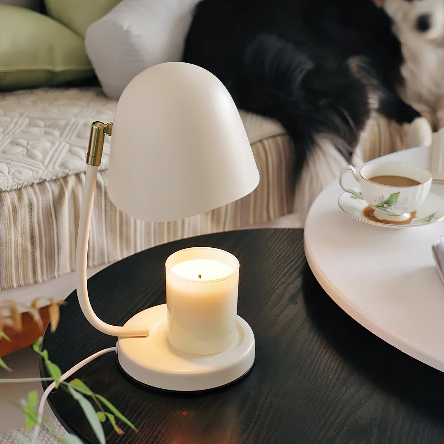 Cream candle warmer lamp with a candle on a table next to a cup of coffee and saucer, with a dog in the background.